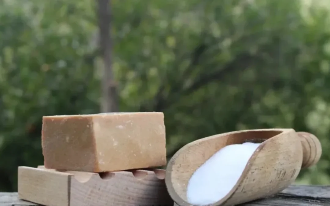 Soluzioni ecologiche per lavare le stoviglie